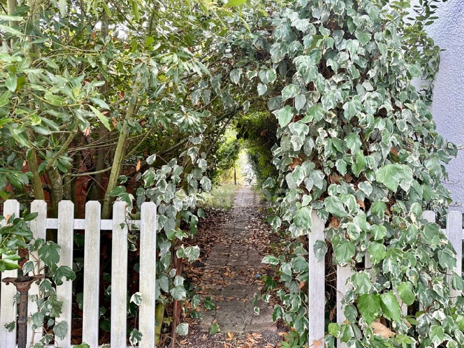  te koop huis Andernos-les-Bains Gironde 3