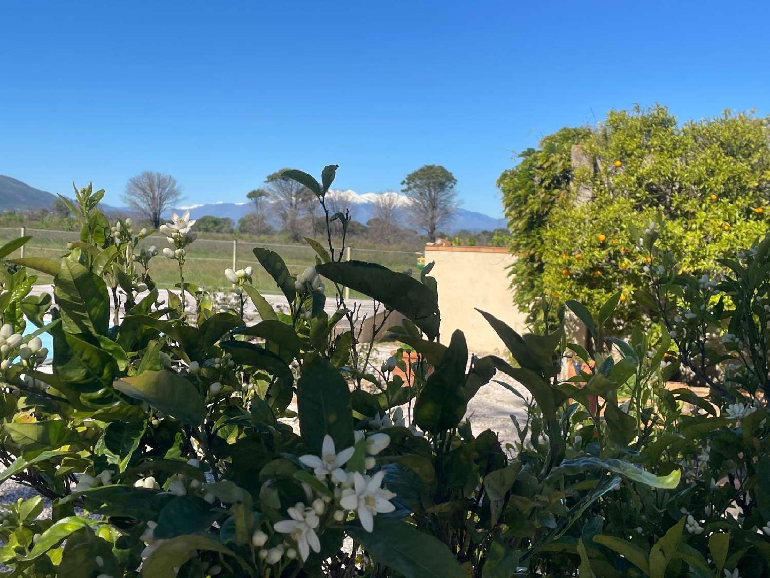  te koop huis Saint-André Pyrénées-Orientales 6