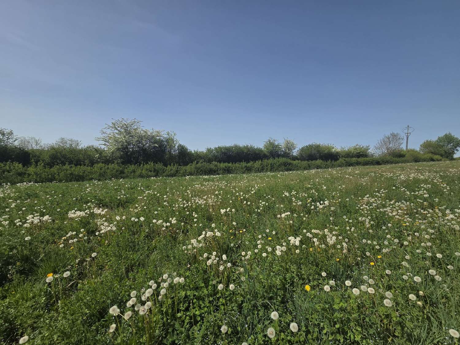  en venta casa Anglars-Saint-Félix Aveyron 6