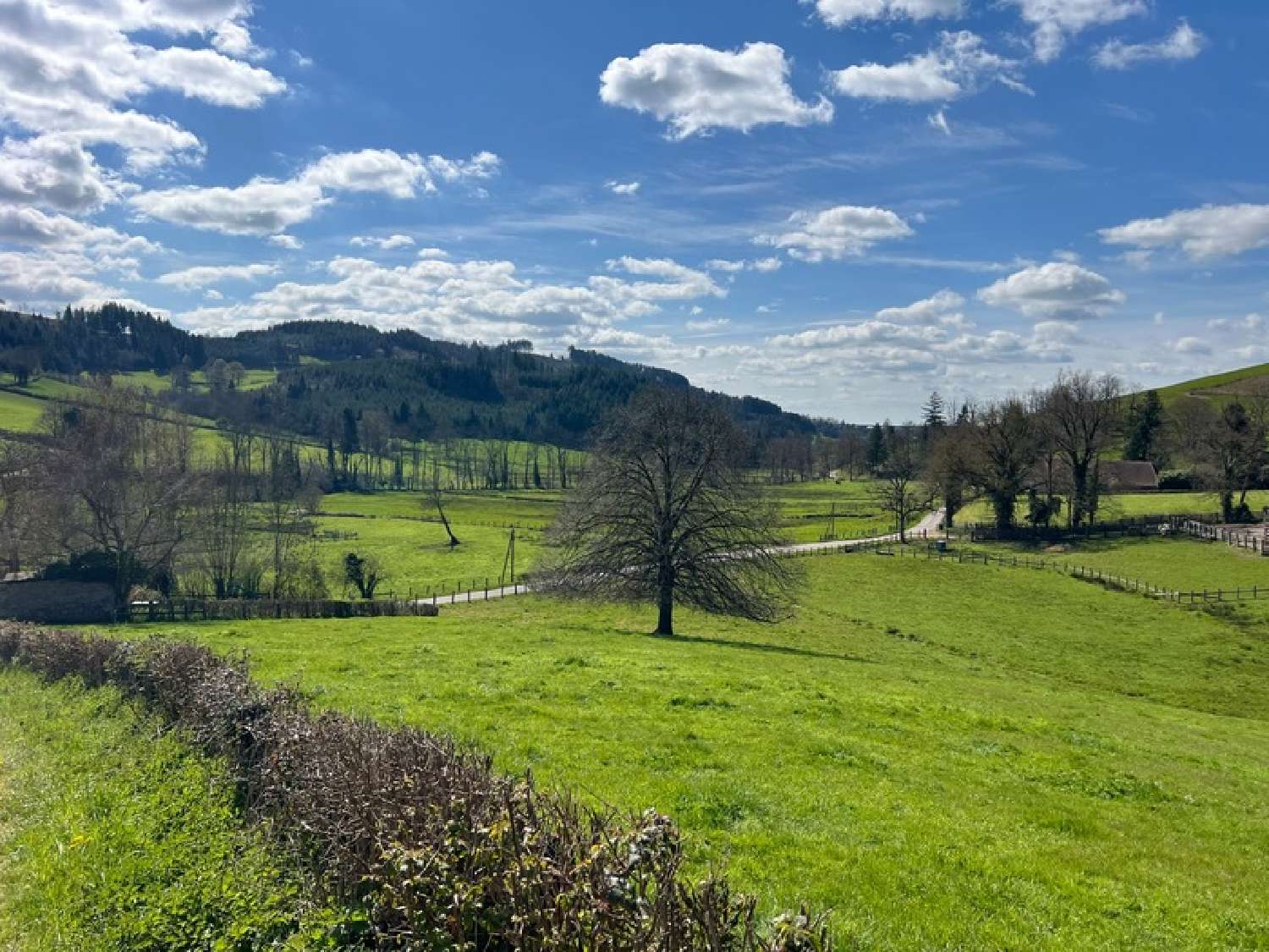  for sale house Anglure-sous-Dun Saône-et-Loire 3