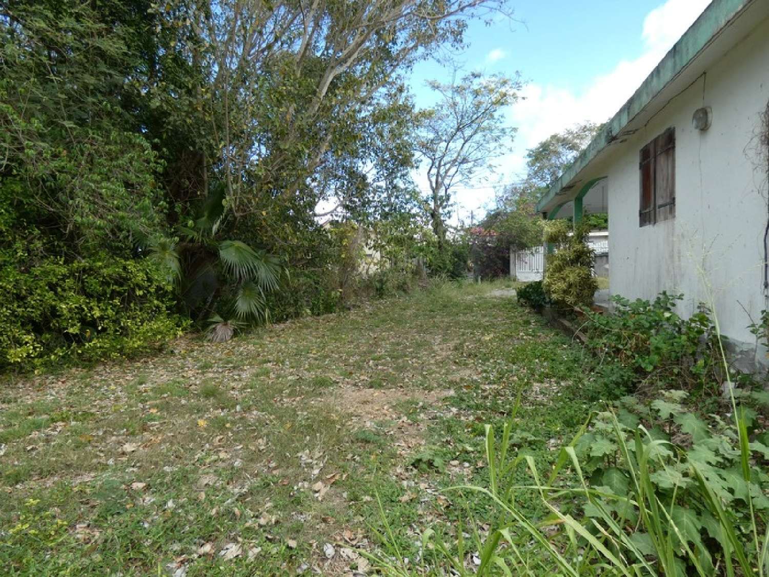  en venta casa Anse-Bertrand Guadeloupe 8