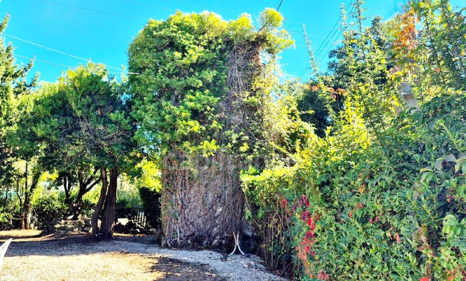 for sale house Arles Bouches-du-Rhône 4