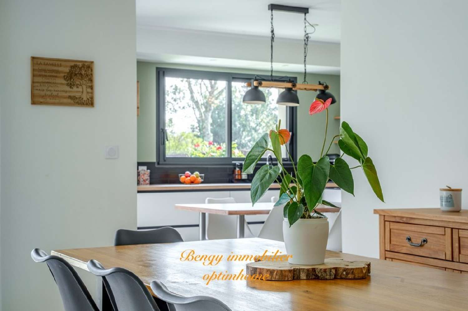  te koop huis Artannes-sur-Indre Indre-et-Loire 3