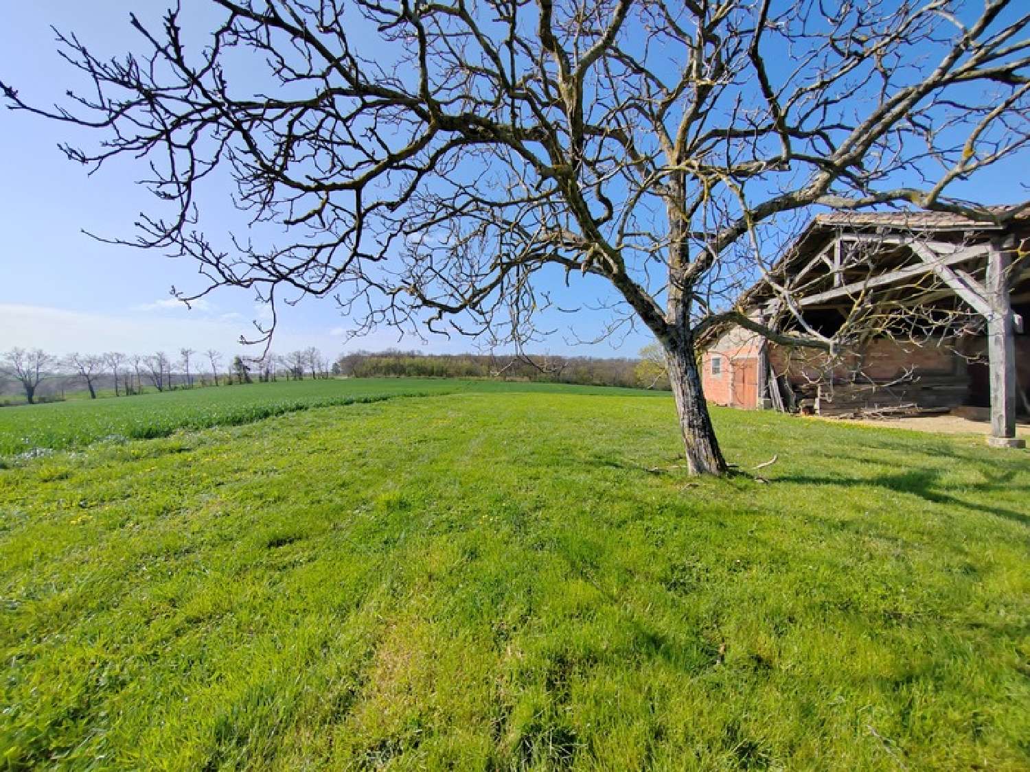  en venta casa Auch Gers 2