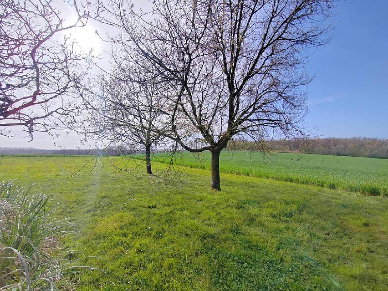  en venta casa Auch Gers 3