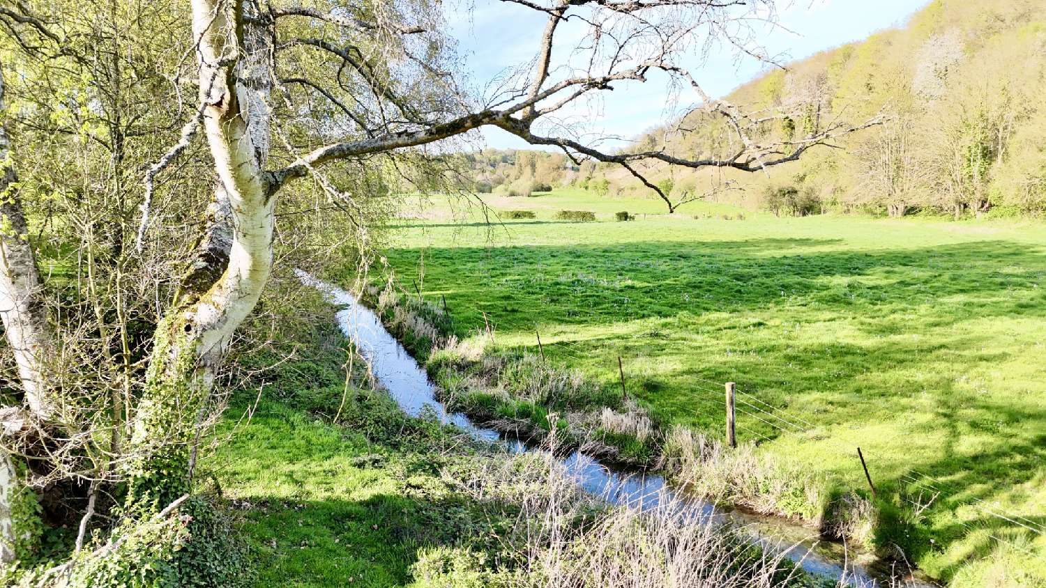  kaufen Haus Aumale Seine-Maritime 2