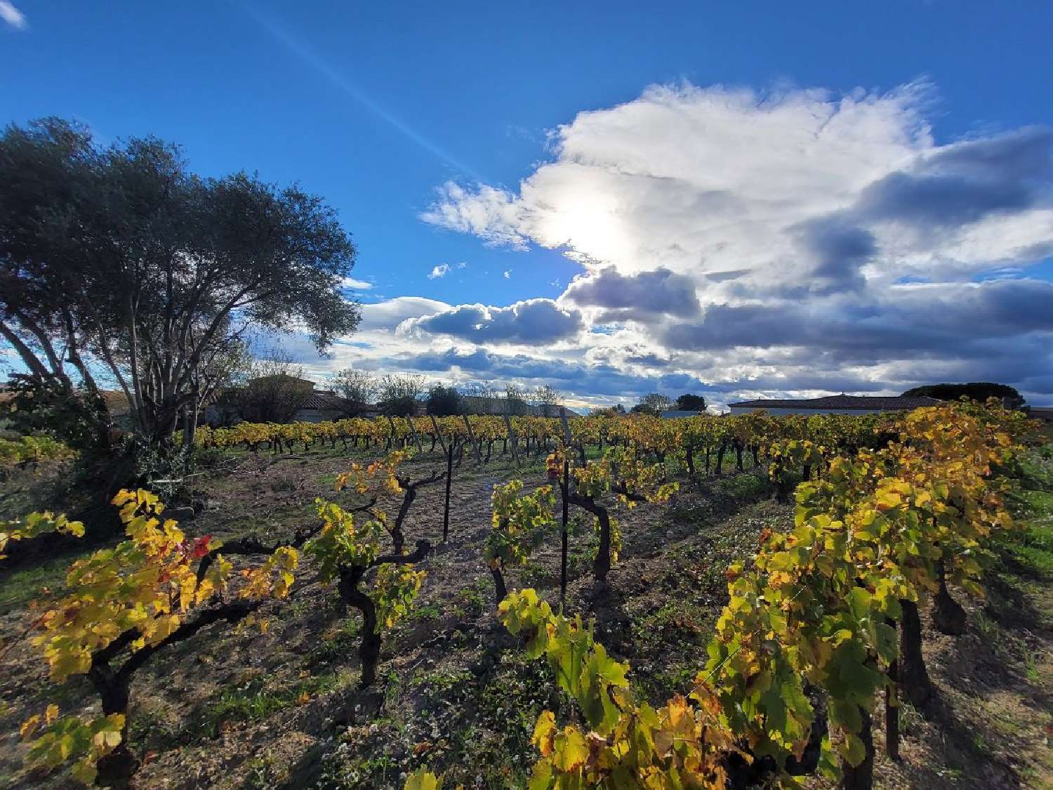  en venta casa Autignac Hérault 2