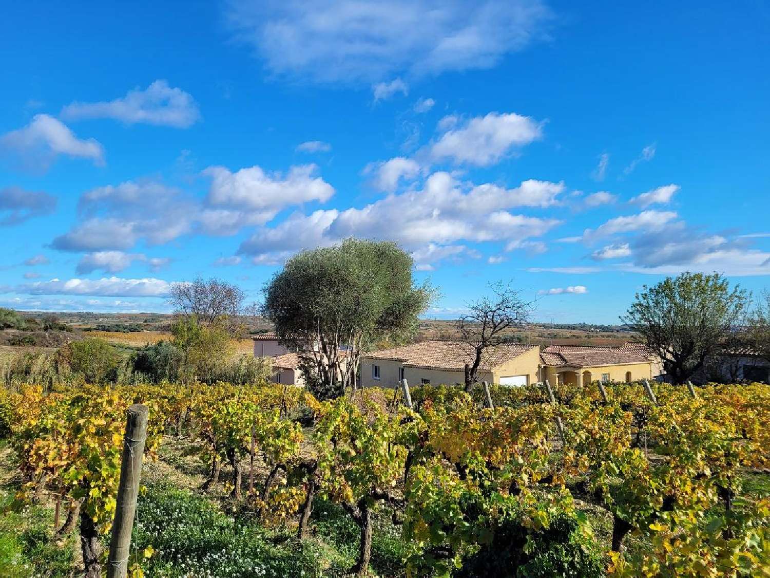  en venta casa Autignac Hérault 3