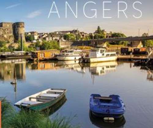 Avrillé Maine-et-Loire house foto 7321379