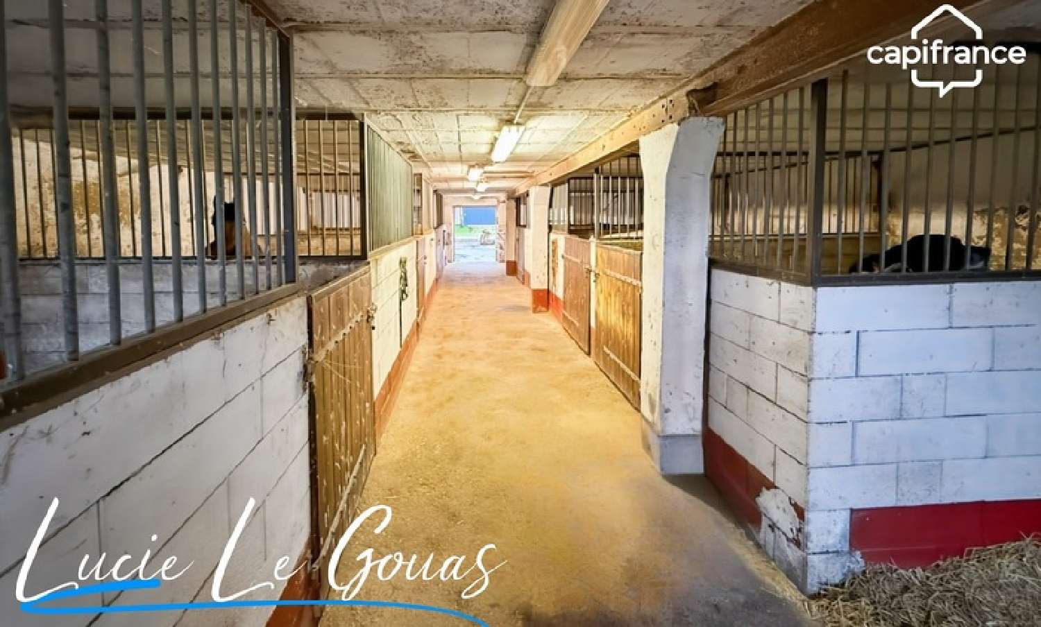 for sale house Azannes-et-Soumazannes Meuse 4