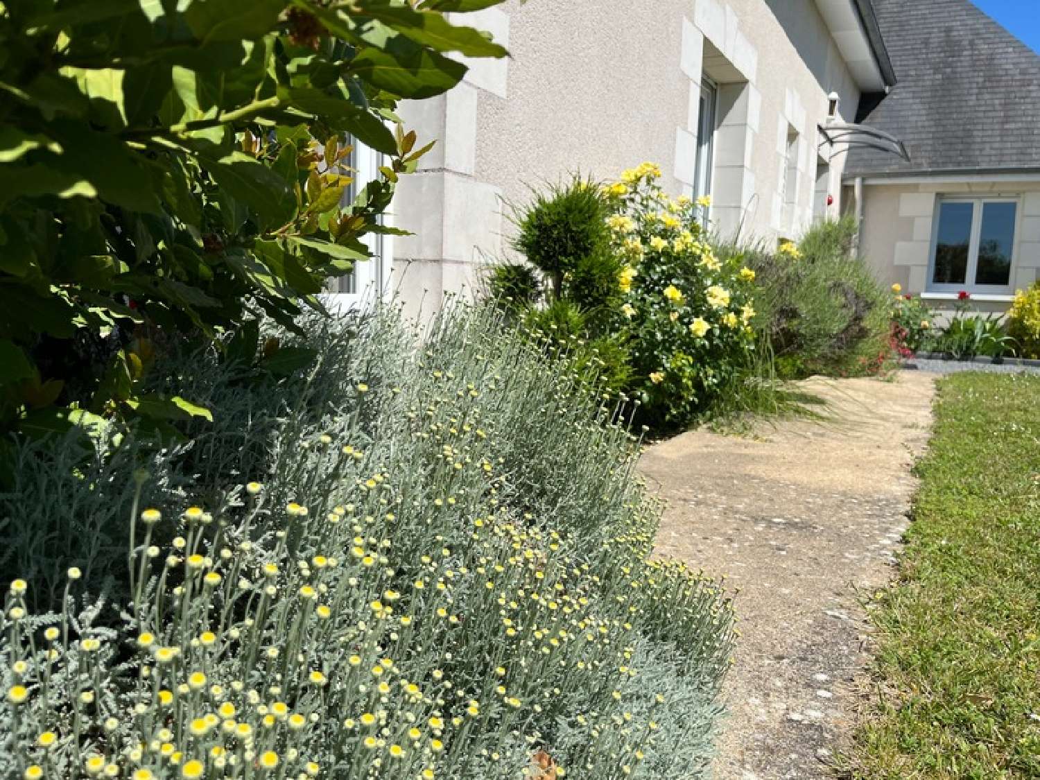  à vendre maison Azay-le-Rideau Indre-et-Loire 7