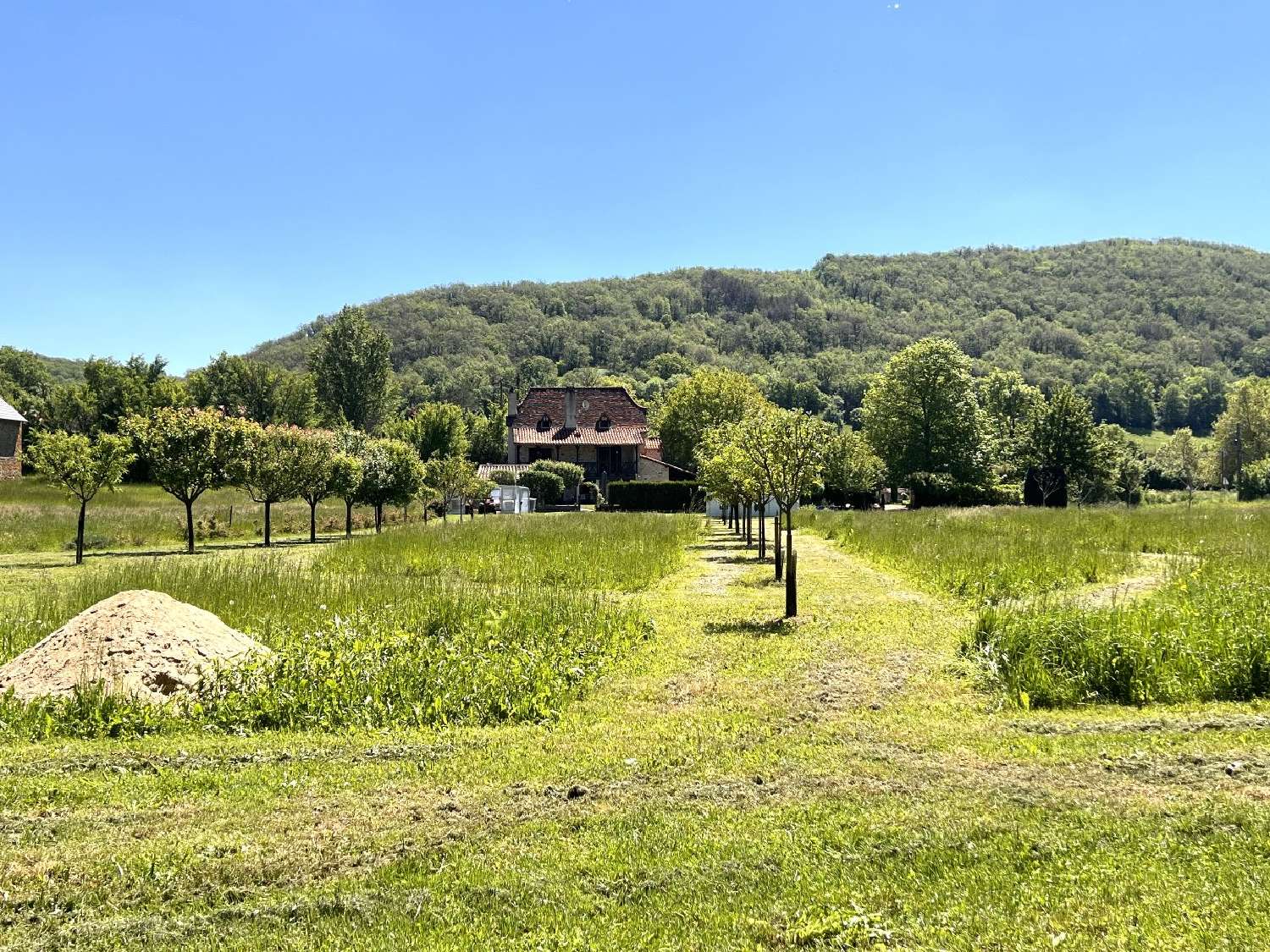  kaufen Haus Balaguier-d'Olt Aveyron 1