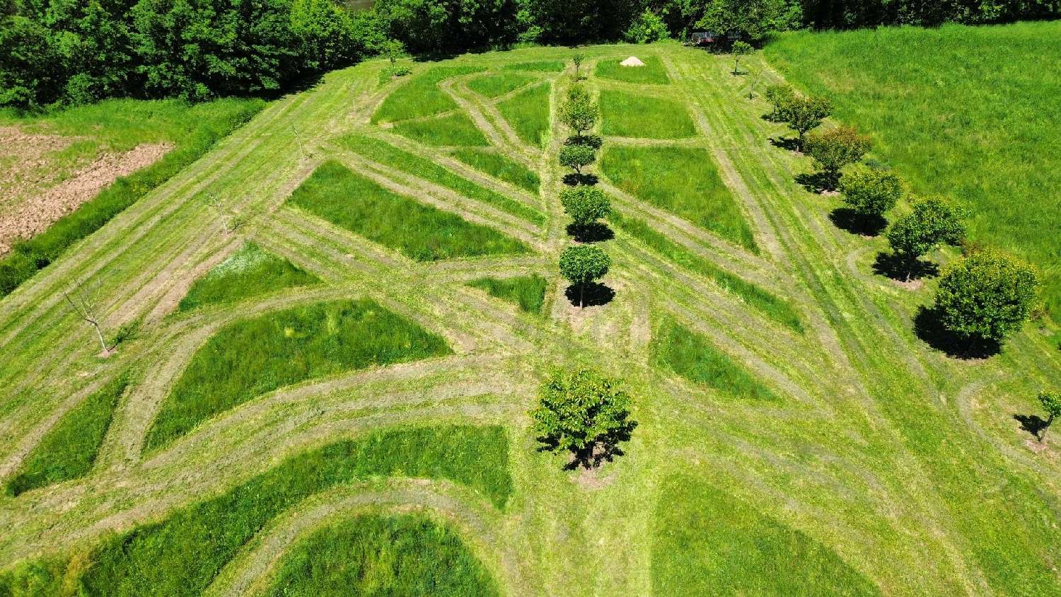  kaufen Haus Balaguier-d'Olt Aveyron 6