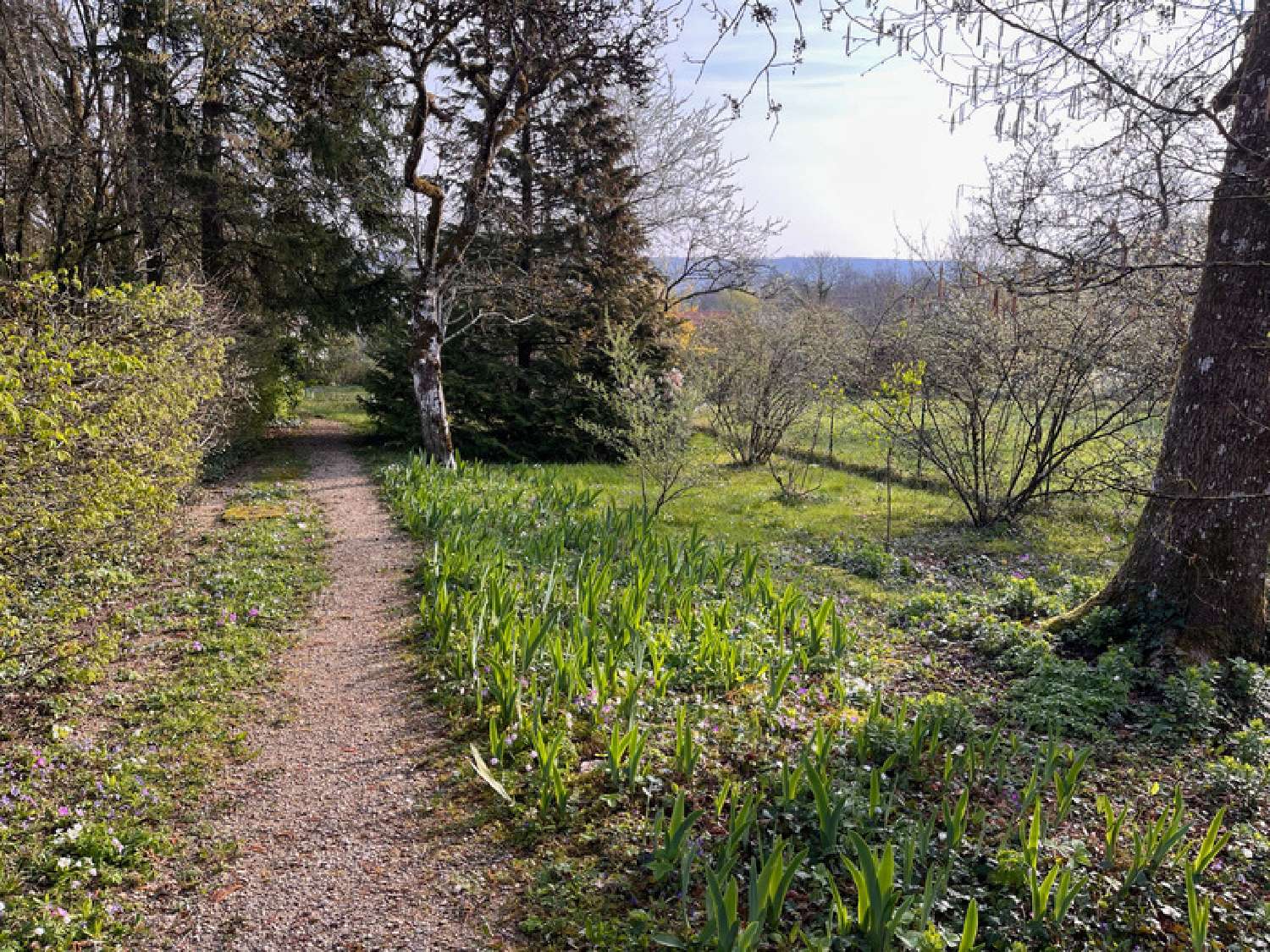  à vendre maison Bar-le-Duc Meuse 2