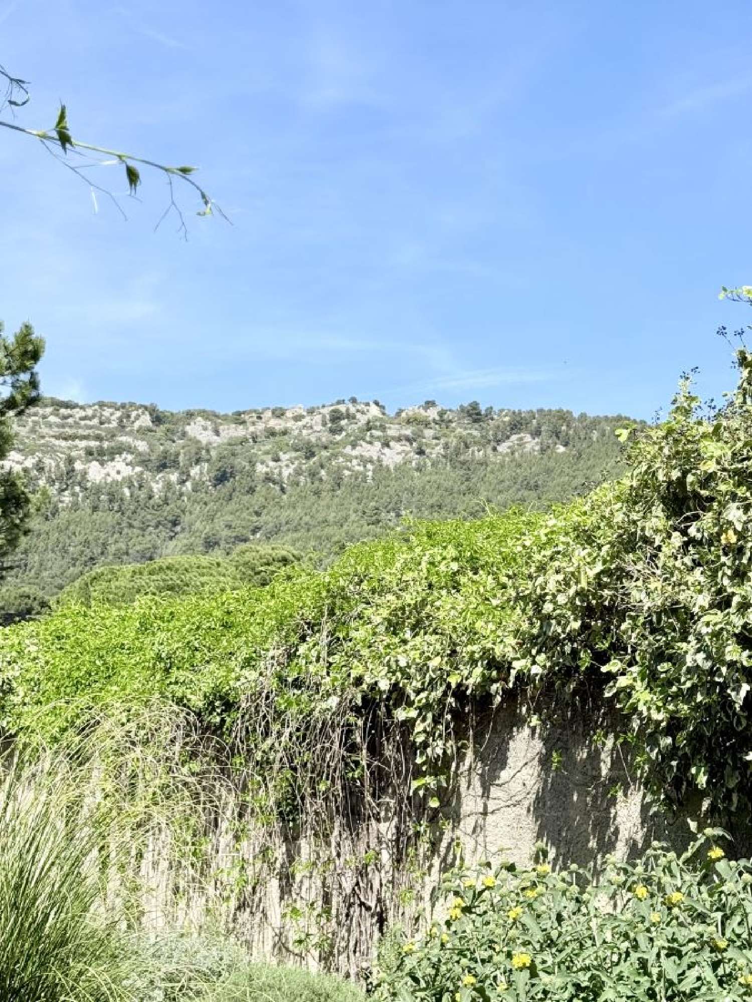  te koop huis Beaumes-de-Venise Vaucluse 5