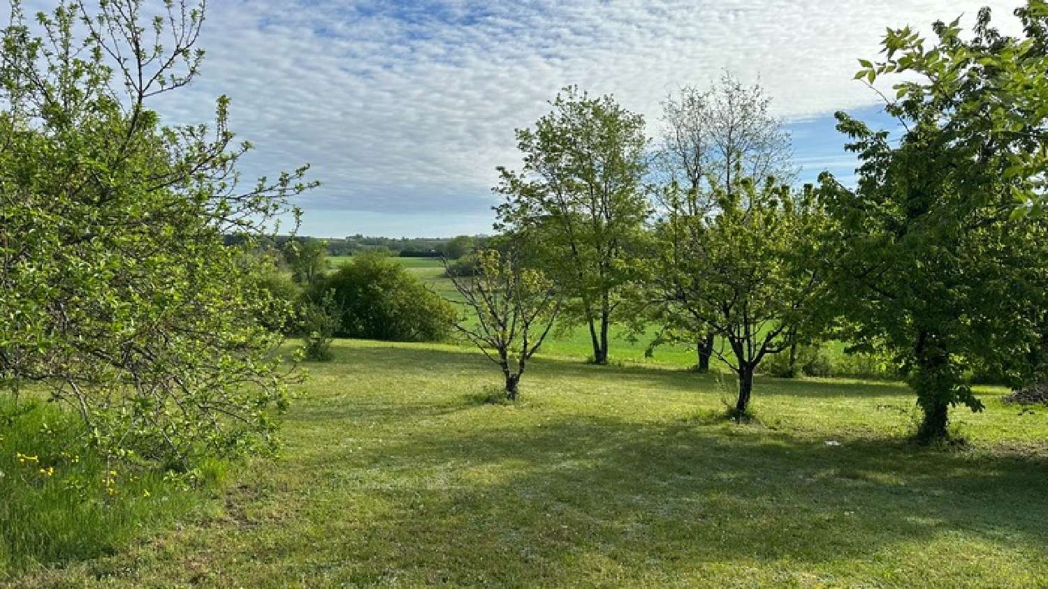  à vendre maison Bergerac Dordogne 4