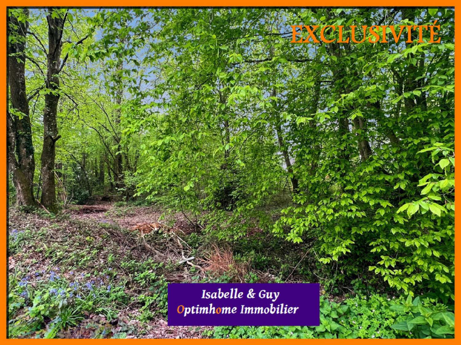  te koop huis Bernay Eure 3