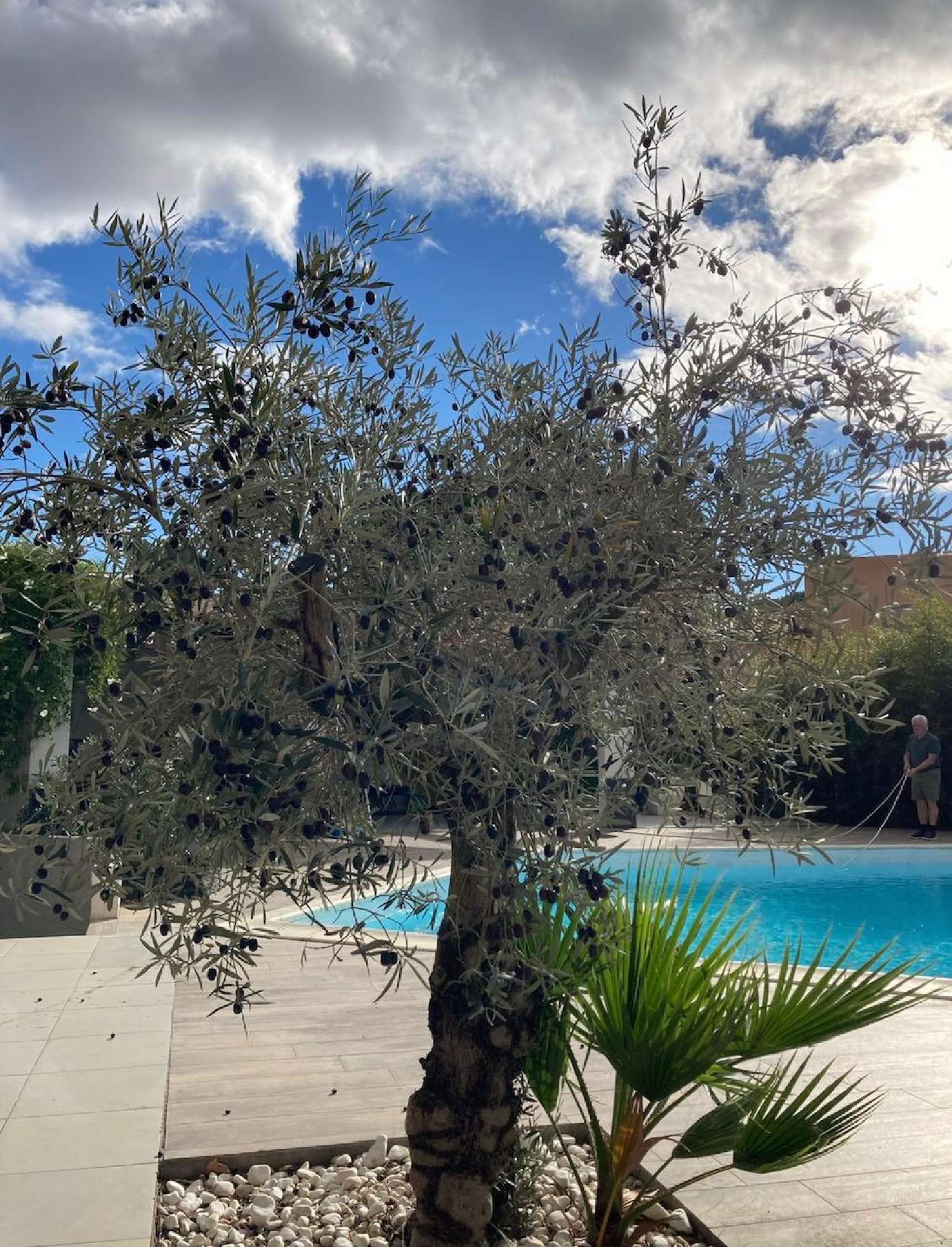  te koop huis Béziers Hérault 8