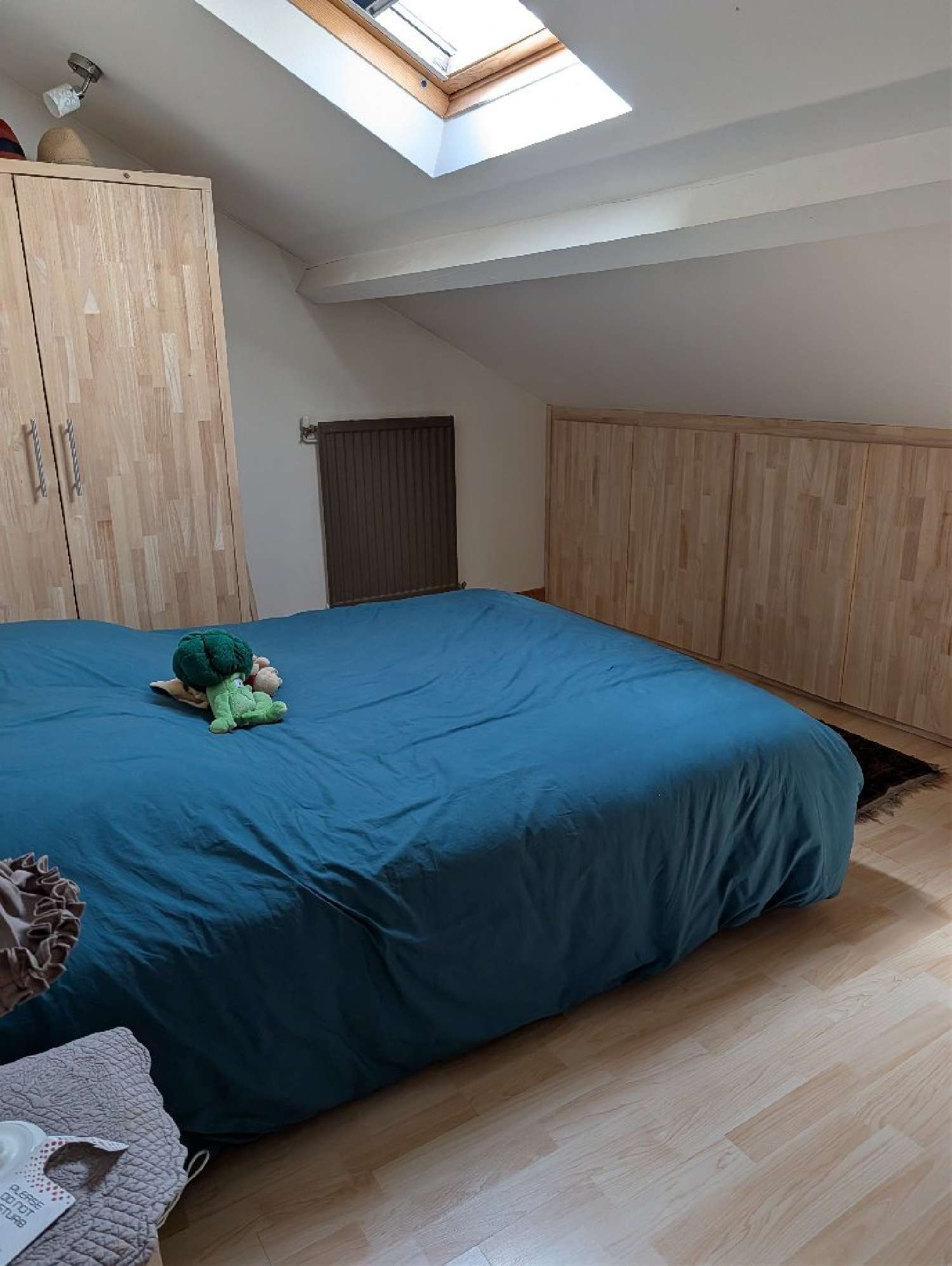  te koop huis Béziers Hérault 4