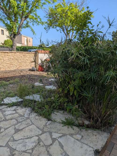 Béziers Hérault house foto 7319411