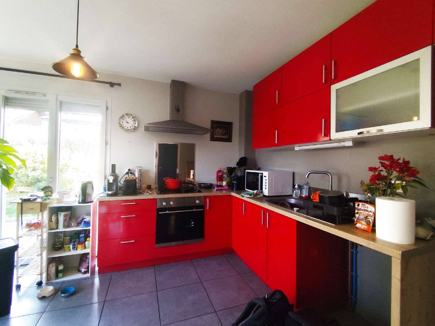  te koop huis Bilieu Isère 5