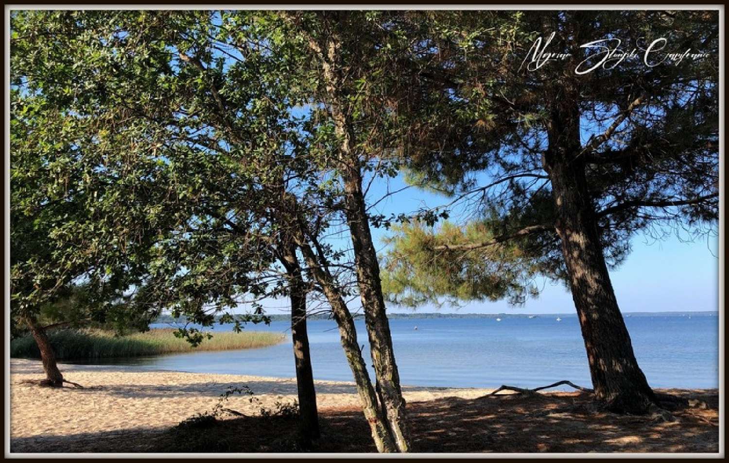  kaufen Haus Biscarrosse Landes 2