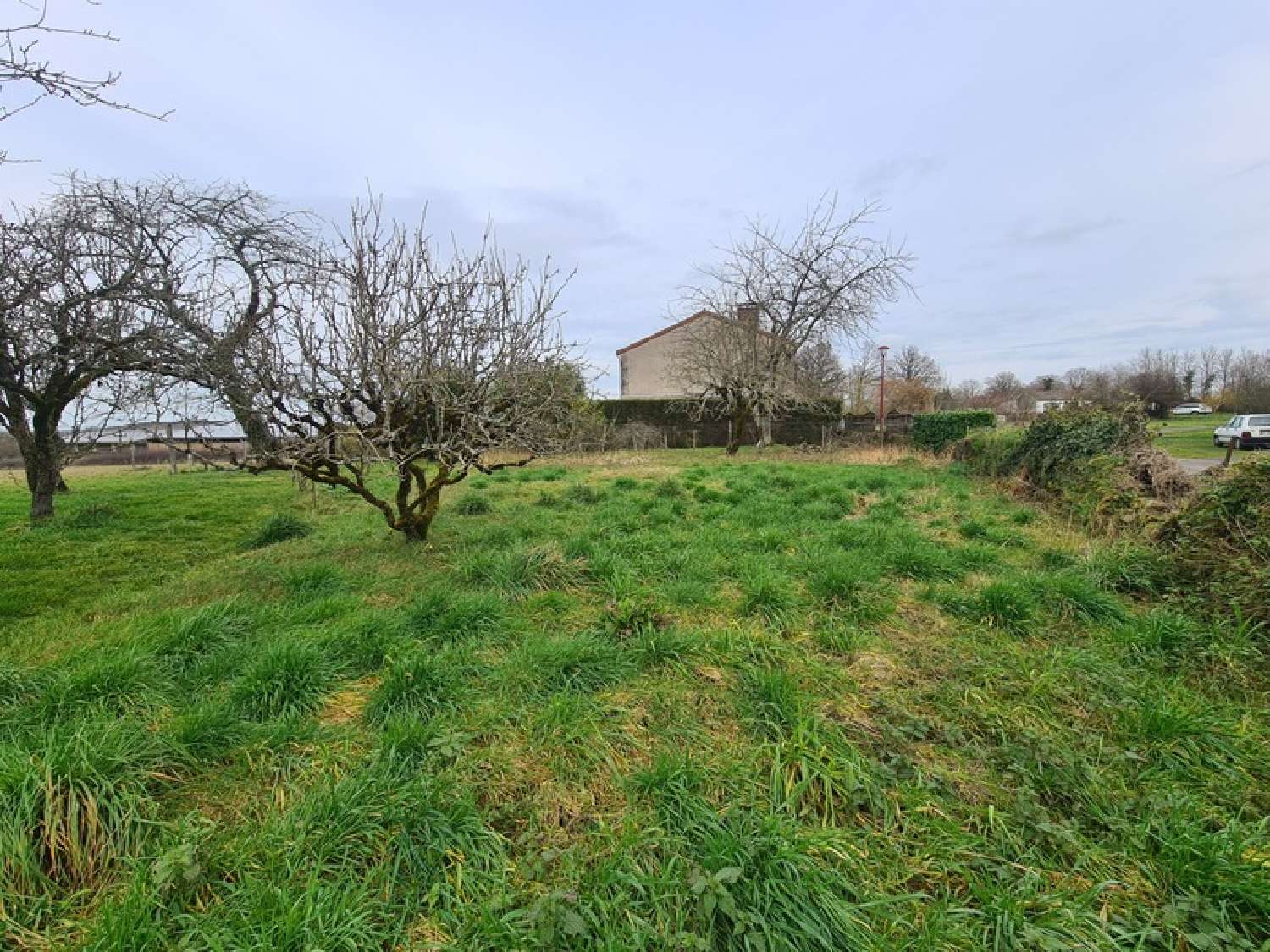  kaufen Haus Blanzac Haute-Vienne 5