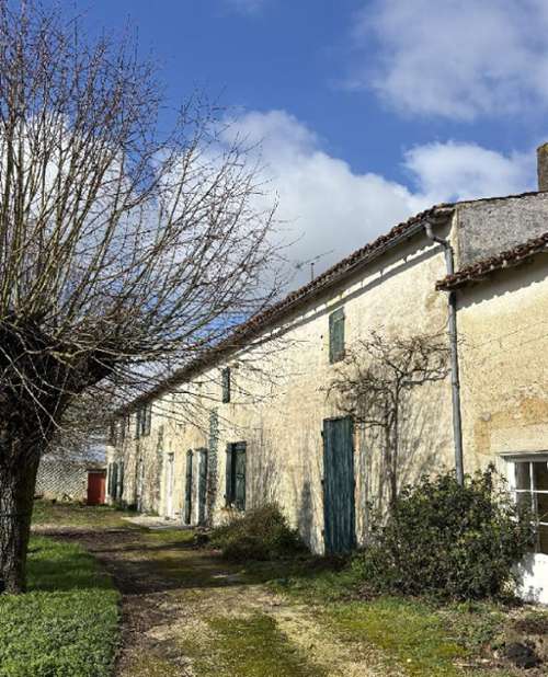 Boisserolles Deux-Sèvres maison foto 7311050