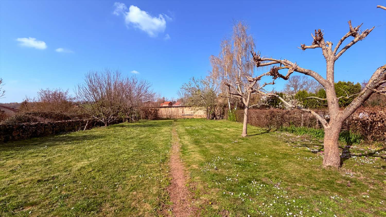  à vendre maison Bourg-le-Comte Saône-et-Loire 3