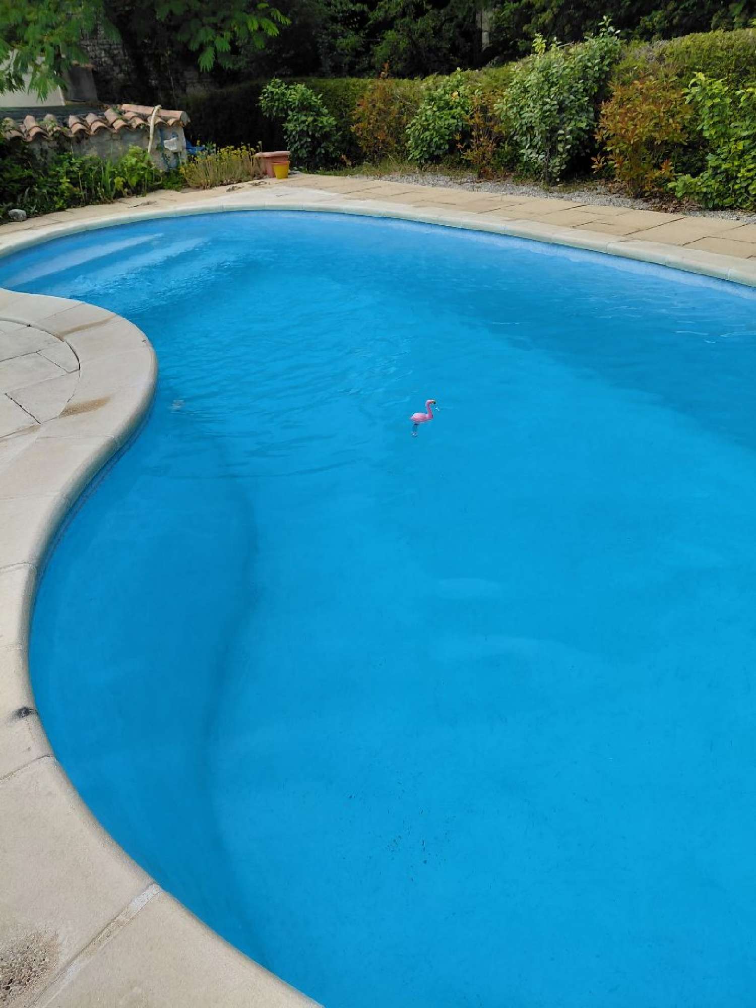 kaufen Haus Bresdon Charente-Maritime 4