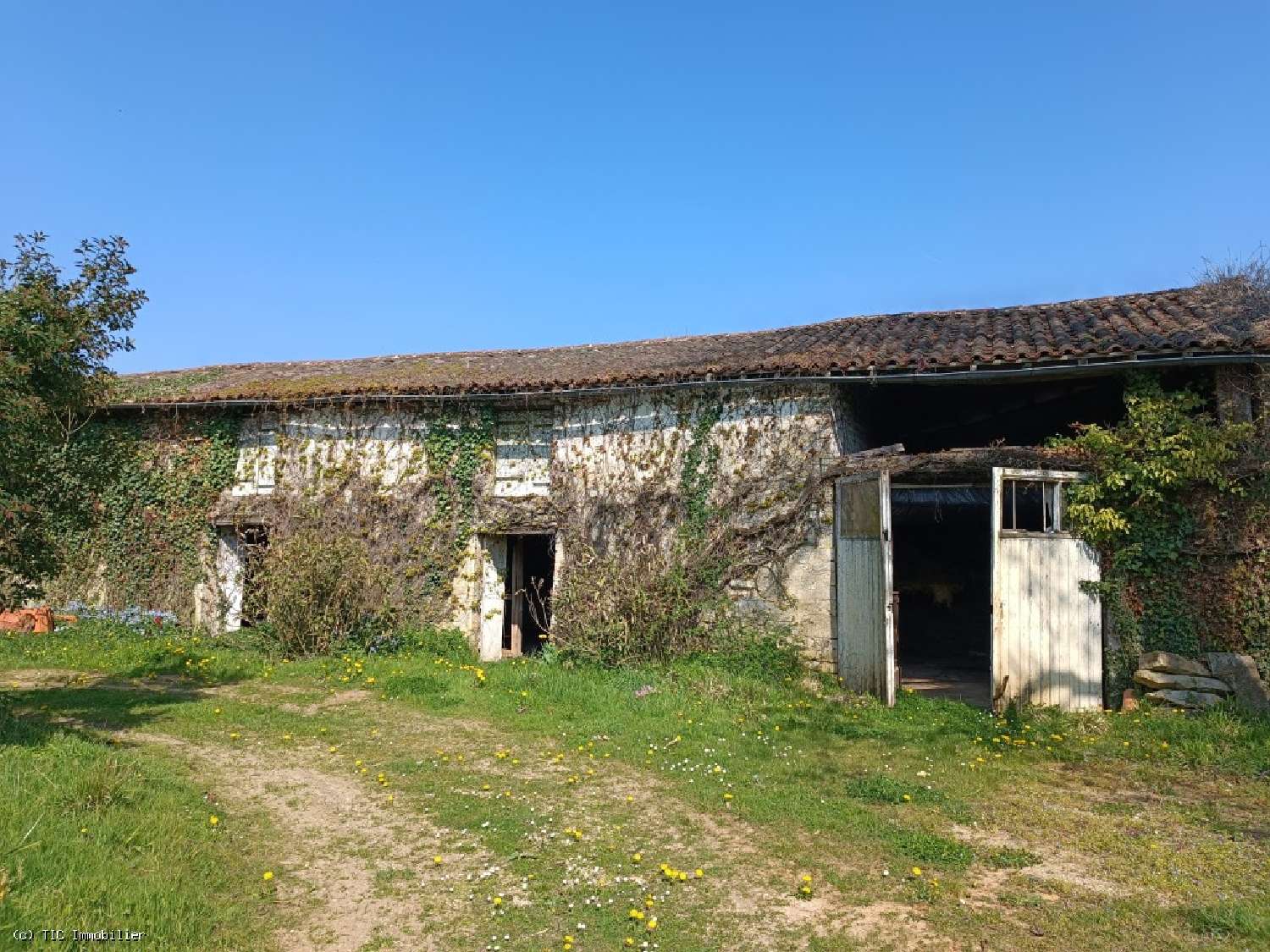 te koop huis Brettes Charente 8