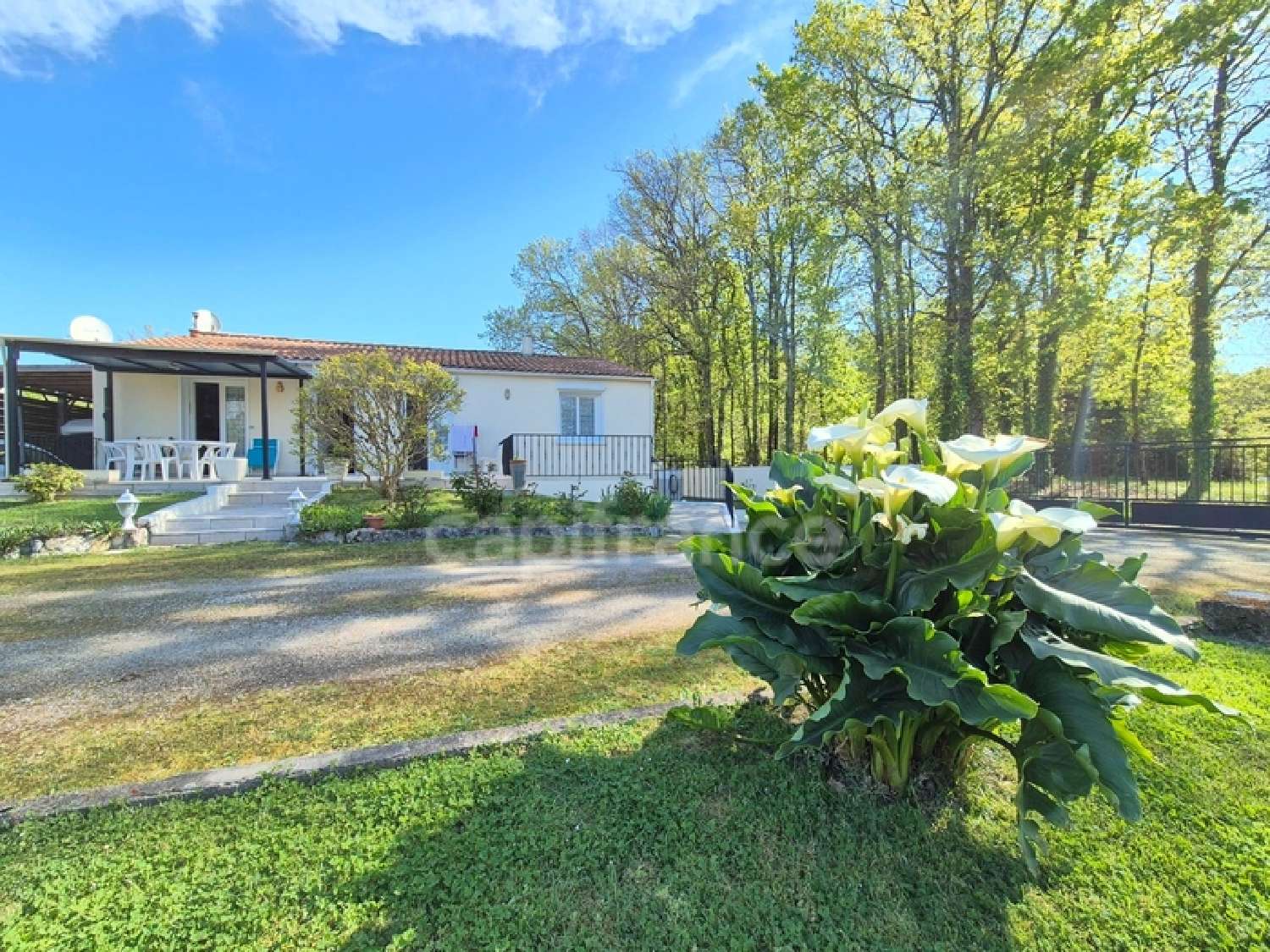  for sale house Breuillet Charente-Maritime 1