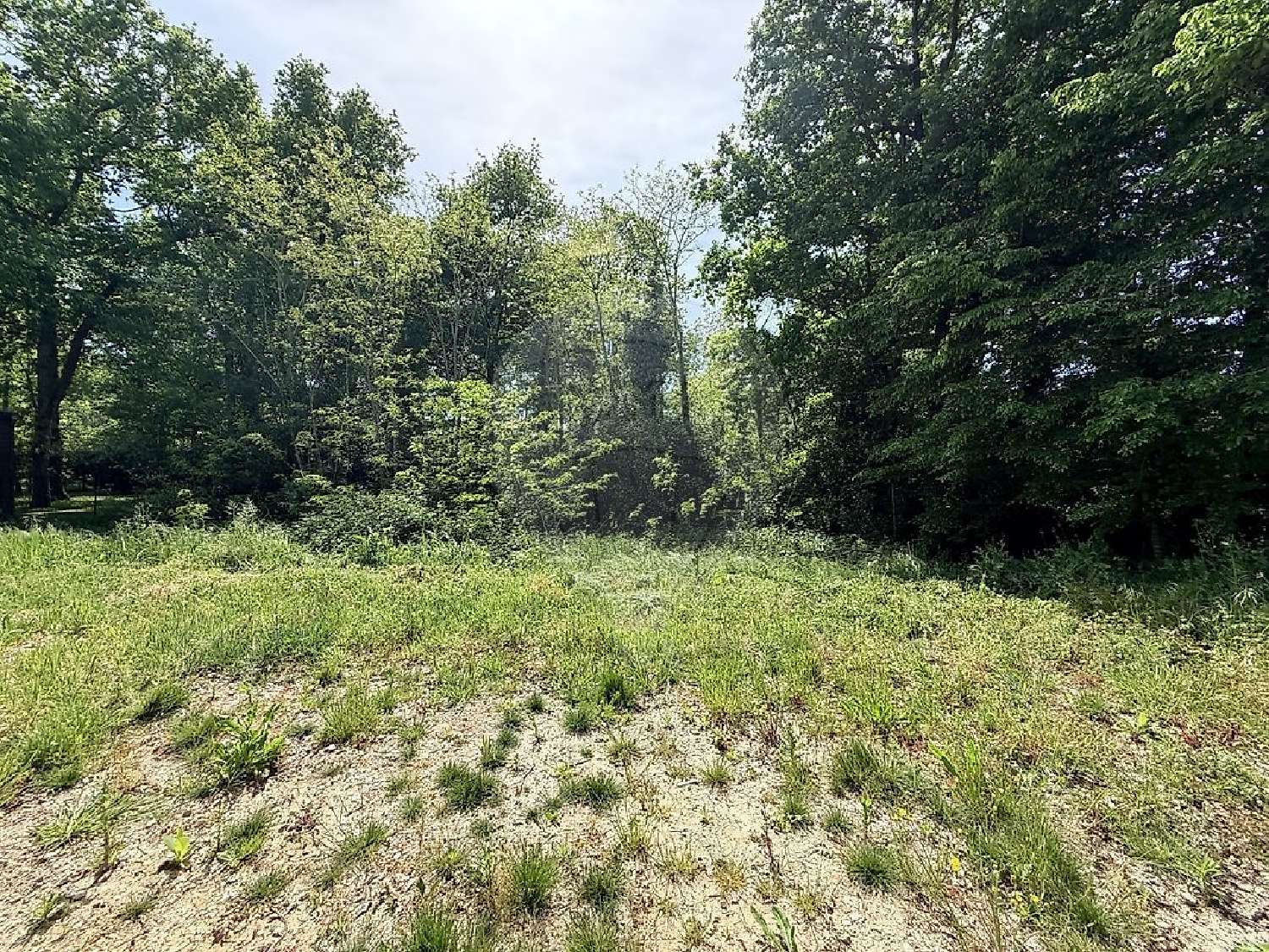  à vendre maison Breuillet Charente-Maritime 7