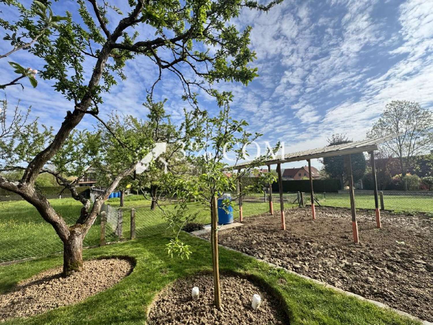  for sale house Buswiller Bas-Rhin 2