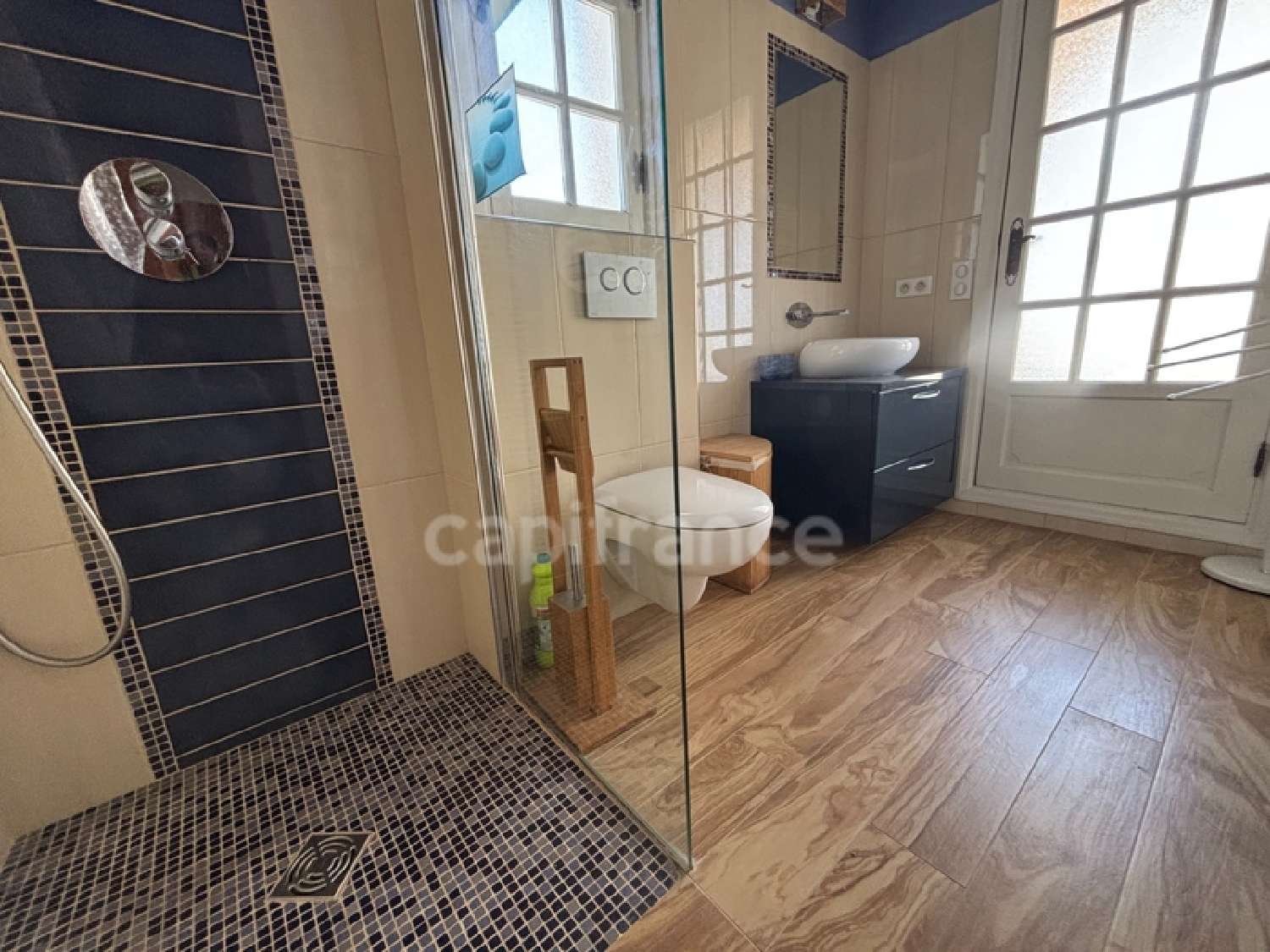 à vendre maison Cagnes-sur-Mer Alpes-Maritimes 5