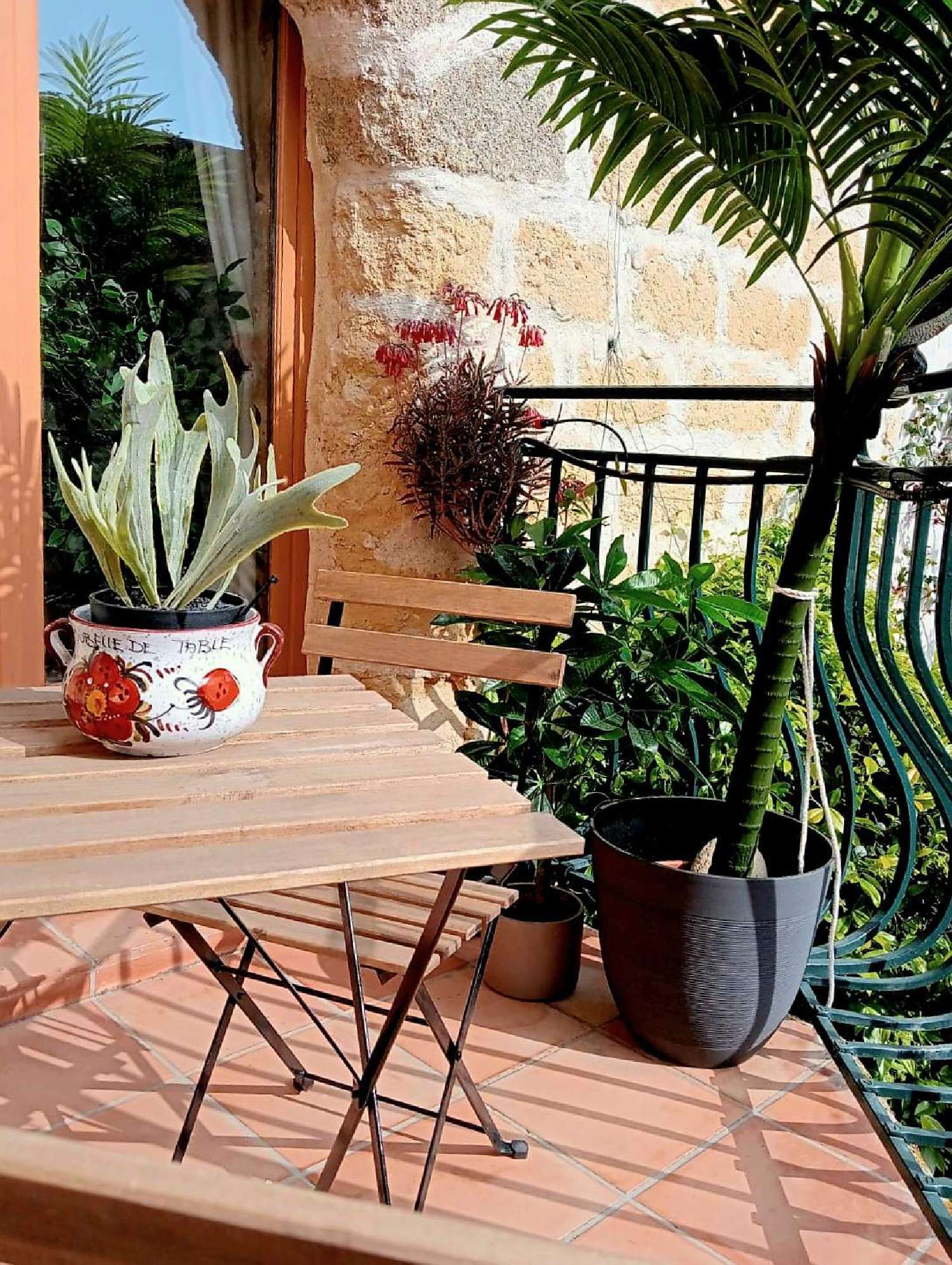  te koop huis Capestang Hérault 5