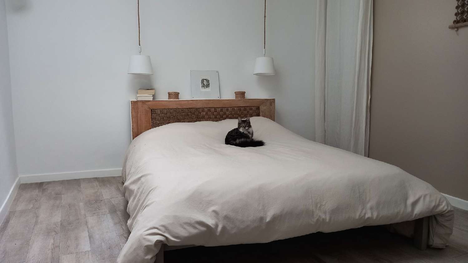  à vendre maison Causse-de-la-Selle Hérault 4