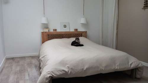  kaufen Haus Causse-de-la-Selle Hérault 4