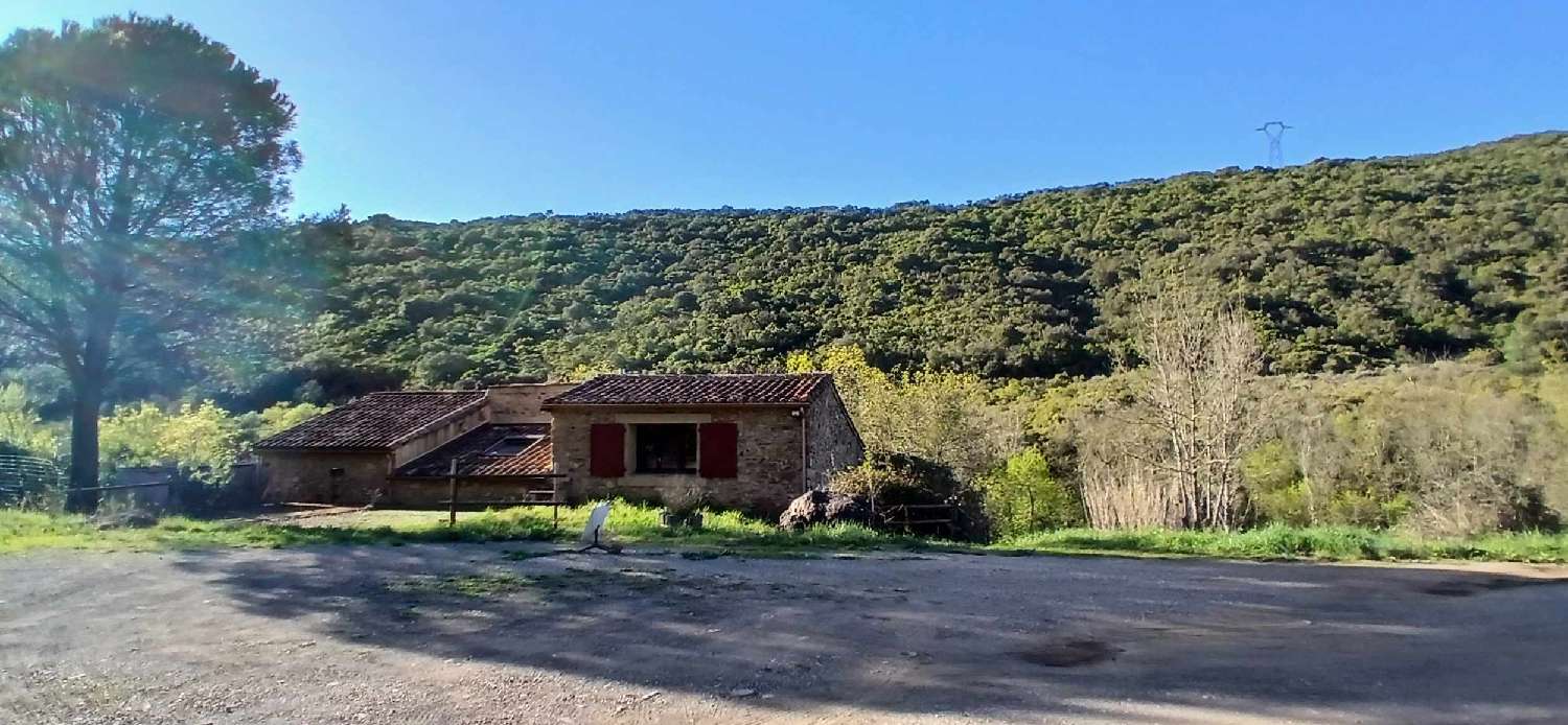  for sale house Cazedarnes Hérault 3
