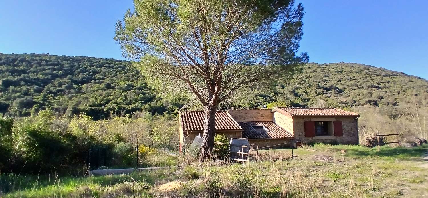 te koop huis Cazedarnes Hérault 6