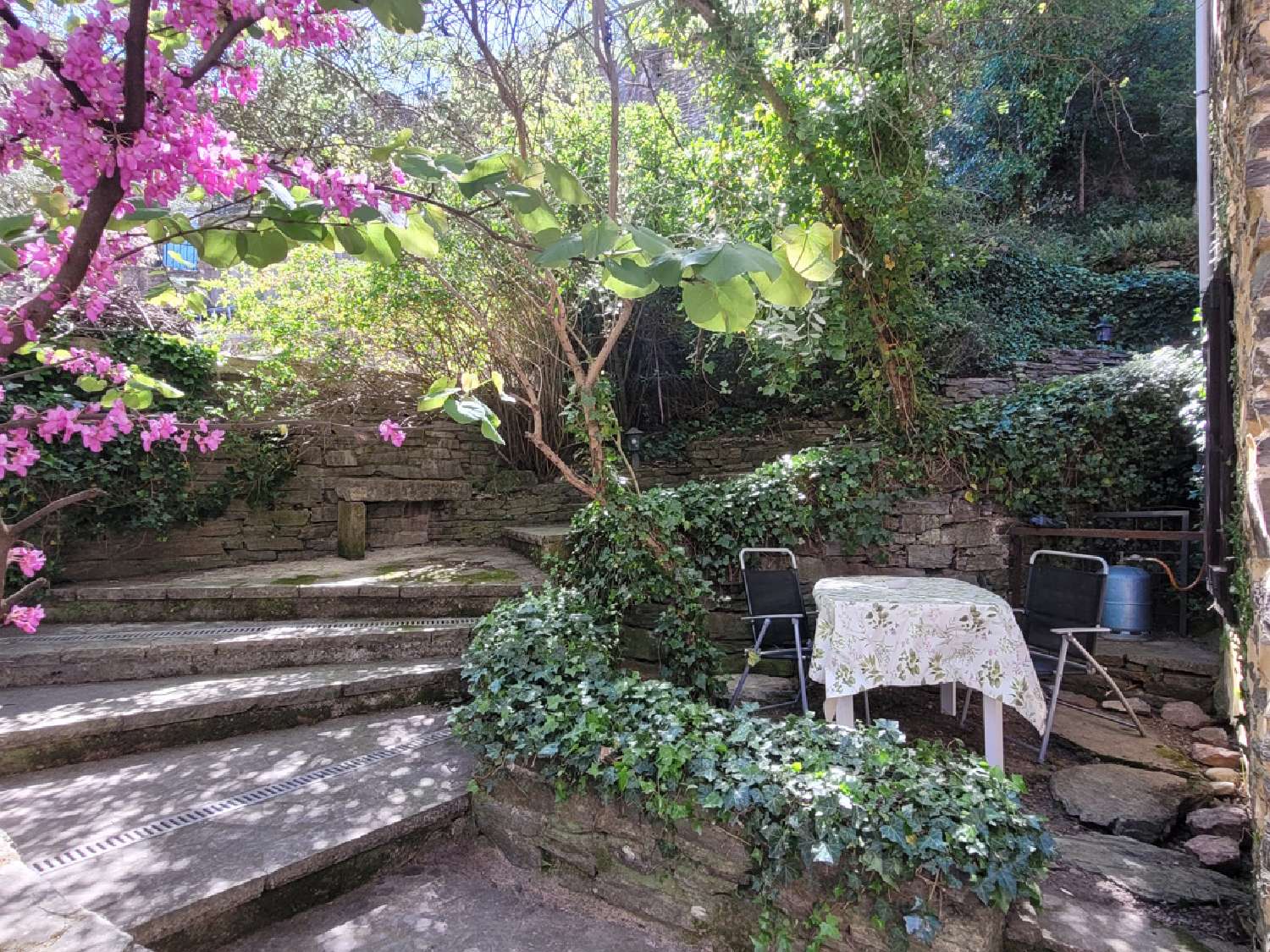  te koop huis Cazedarnes Hérault 5