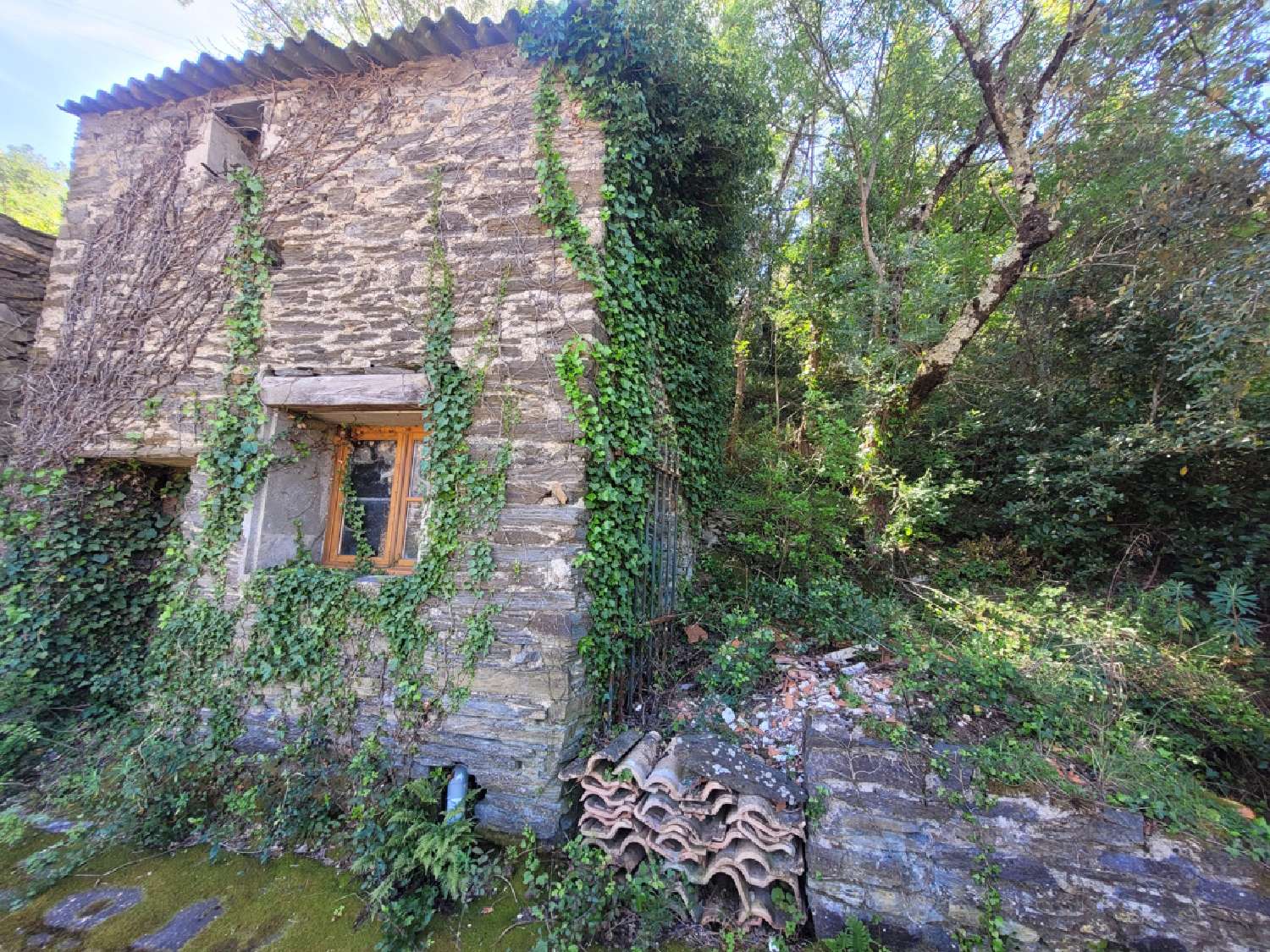  te koop huis Cazedarnes Hérault 7