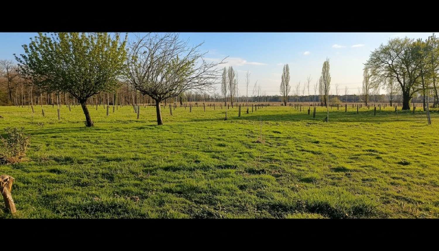  te koop huis Cazères-sur-l'Adour Landes 4
