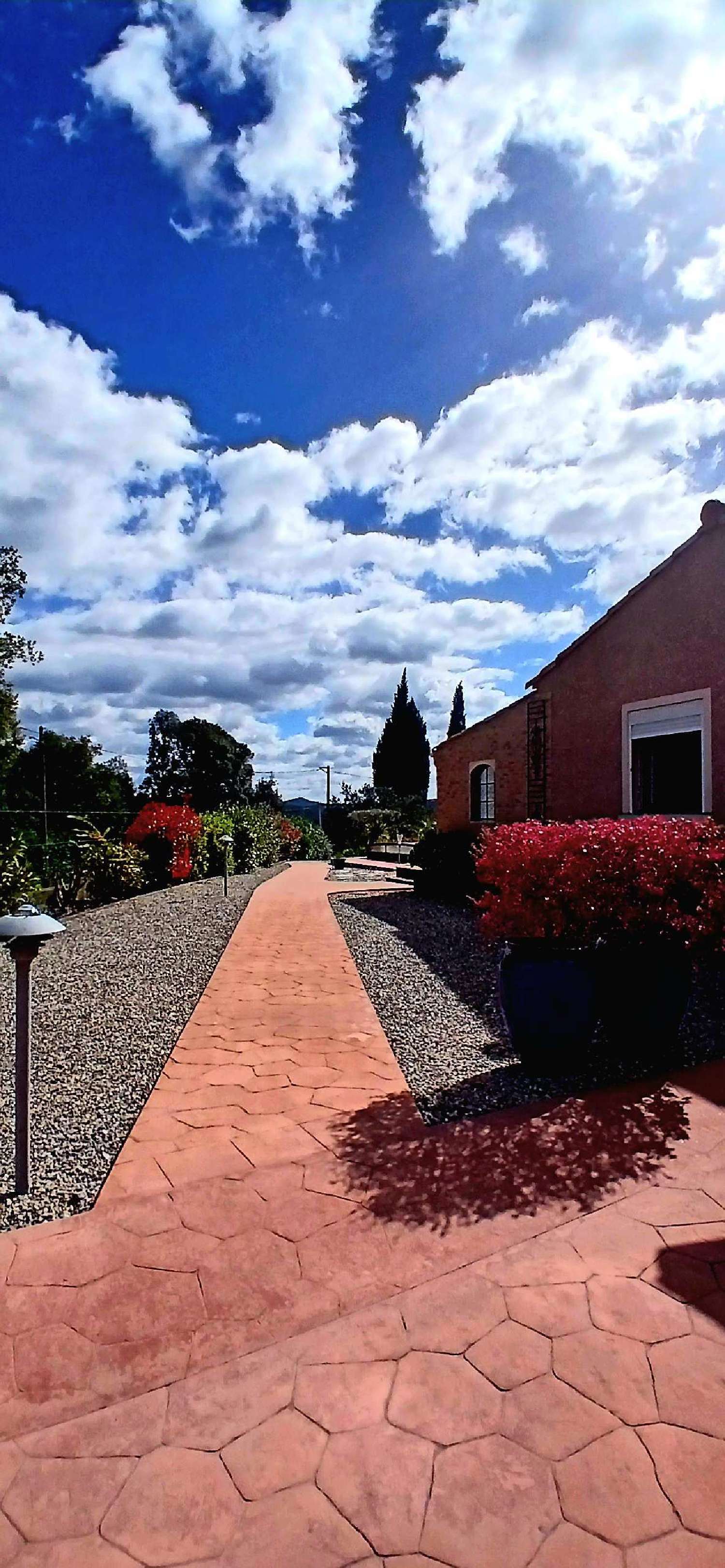  te koop huis Ceilhes-et-Rocozels Hérault 3