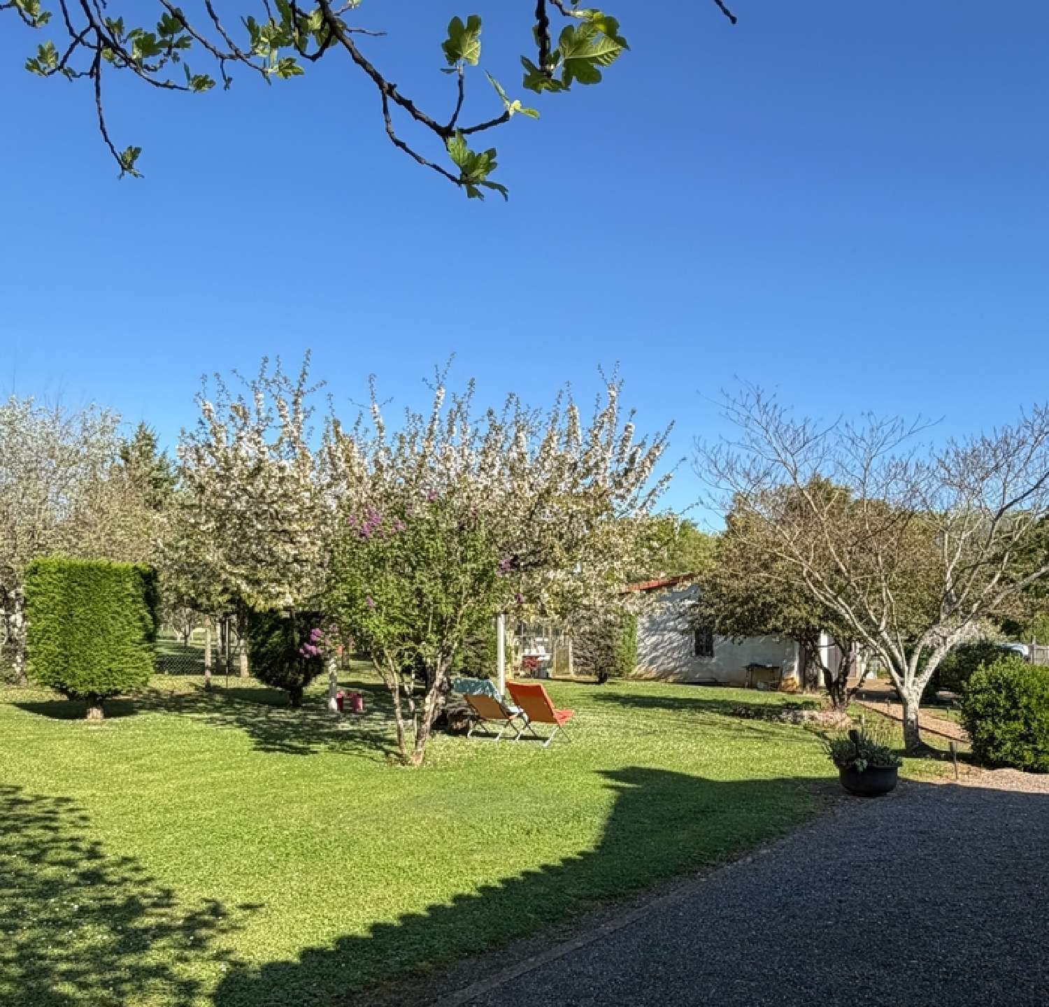  te koop huis Cellefrouin Charente 3