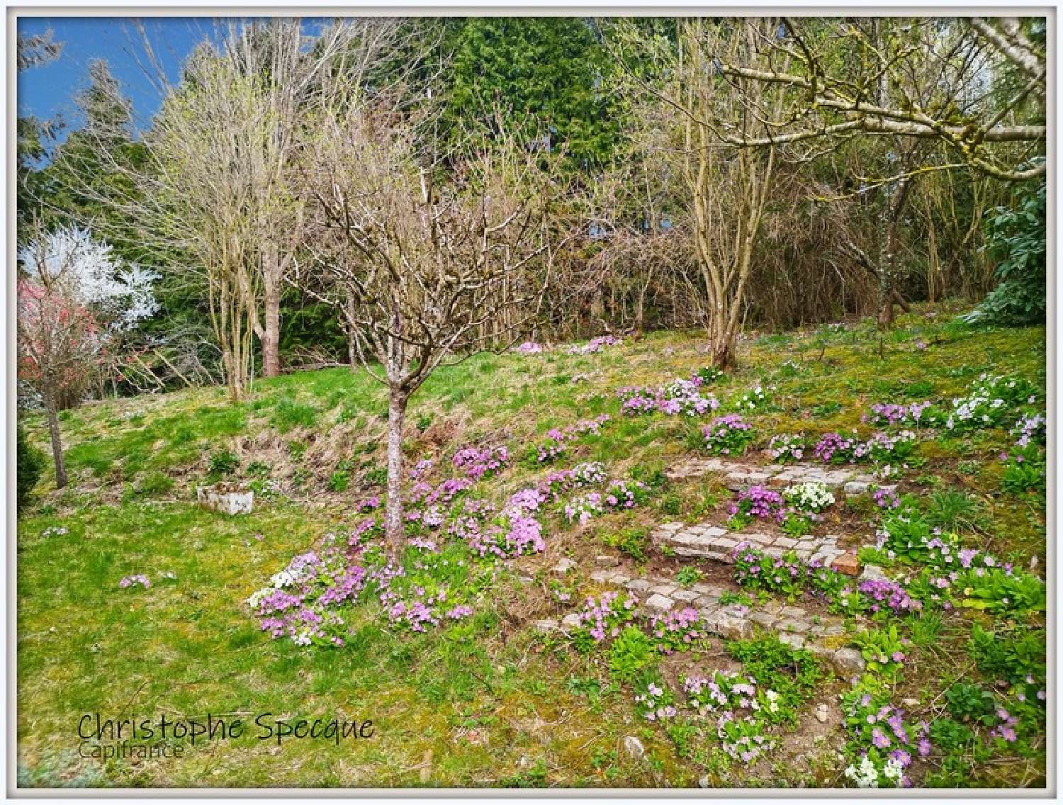  for sale house Celles-sur-Durolle Puy-de-Dôme 4