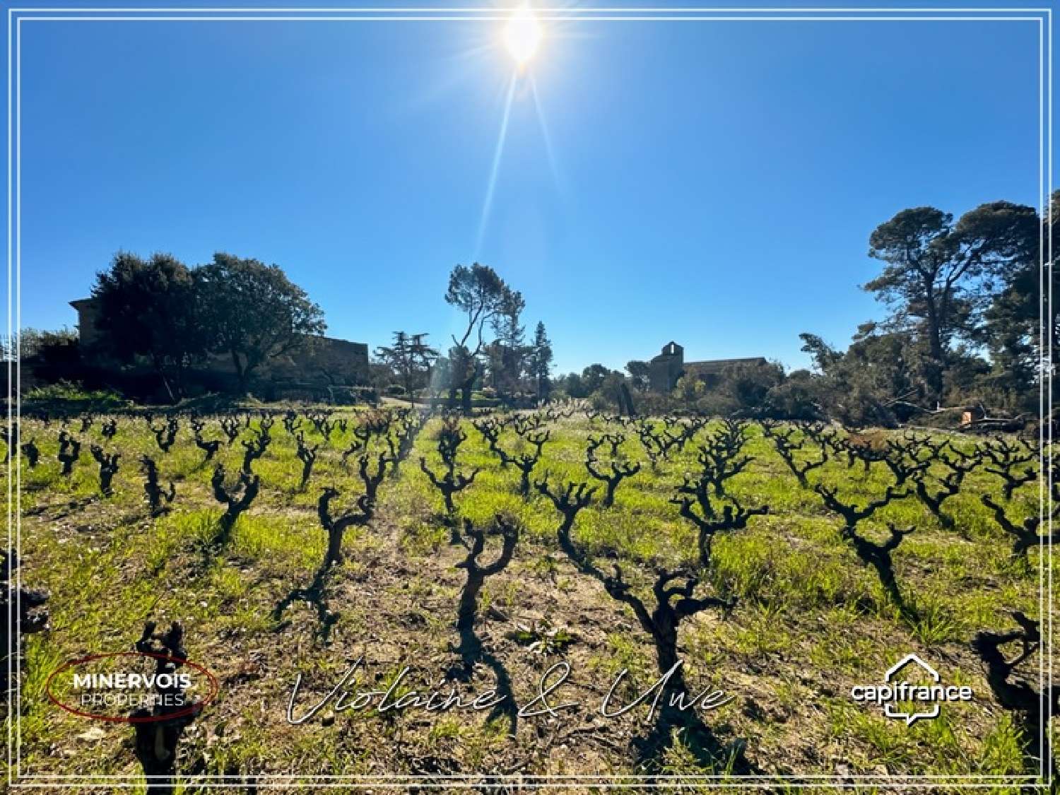  te koop huis Cesseras Hérault 4