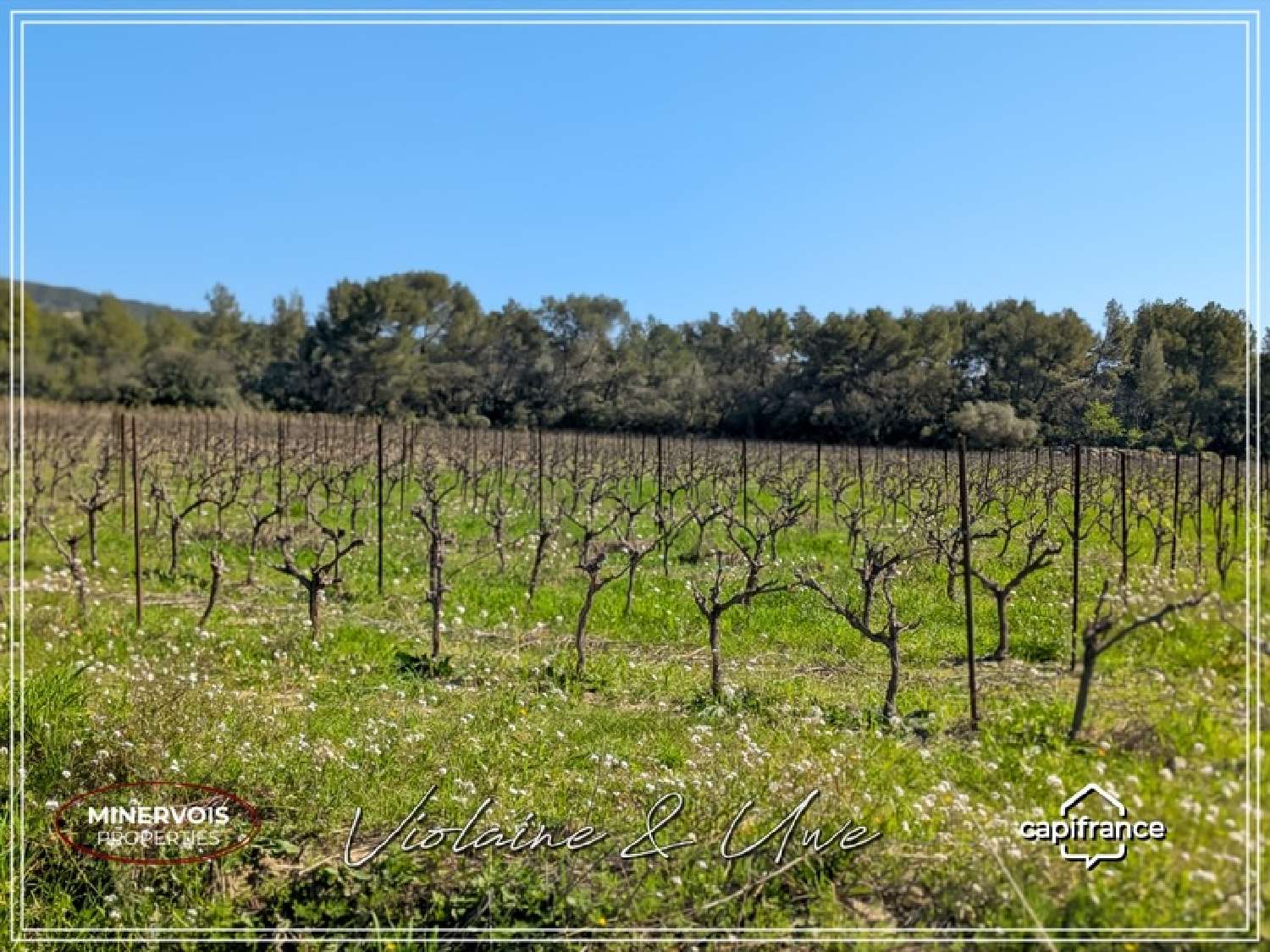  te koop huis Cesseras Hérault 5