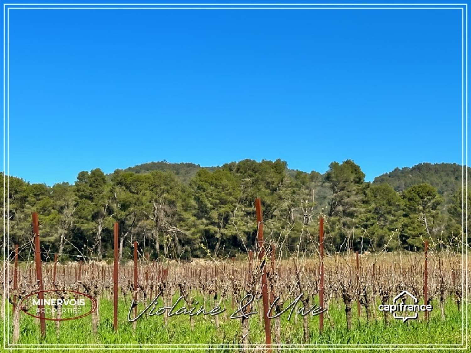  te koop huis Cesseras Hérault 7