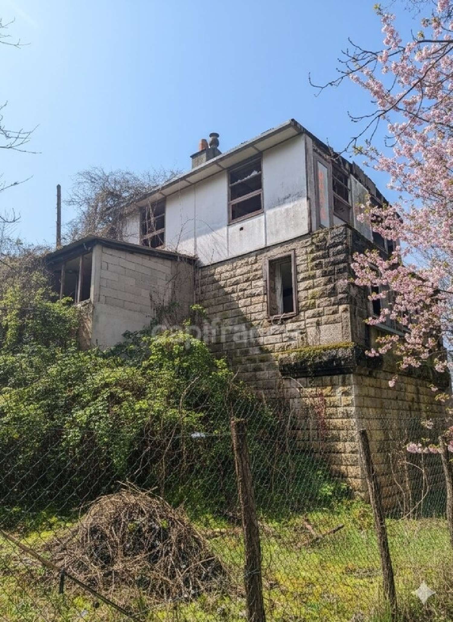  kaufen Haus Chablis Yonne 1